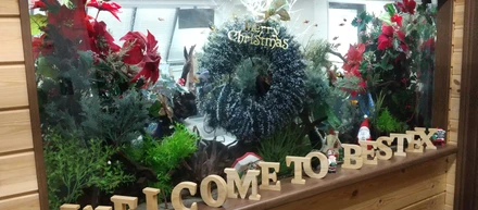 本社の水槽がクリスマス仕様になりました☆