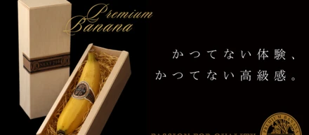 皮まで食べられる国産無農薬バナナを栽培！　～台風にも負けず挑戦し続けた男たちの物語～