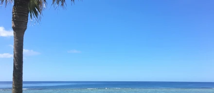 奄美大島にある予備校でのインターンシップ体験-3