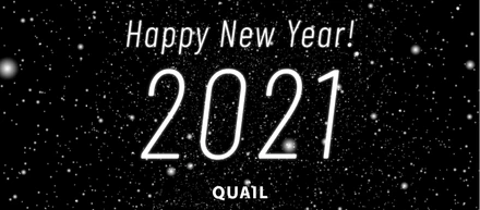 株式会社クエイル 2021年 新年のごあいさつ