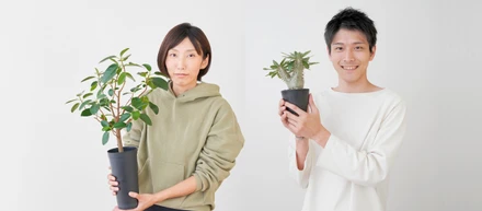 「オフィスに来ないと受けられない福利厚生」では、今の時代に対応できない｜Perk User Interview・株式会社ストロボライト