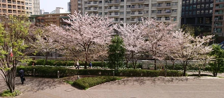 エンジニアがやりたい仕事に就く方法①