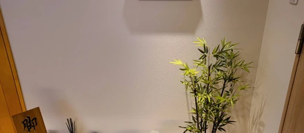 ZENTechのオフィス紹介！