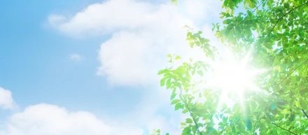 エンジニアがやりたい仕事に就く方法②