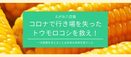 コロナで行き場を失ったトウモロコシを救え作戦中！