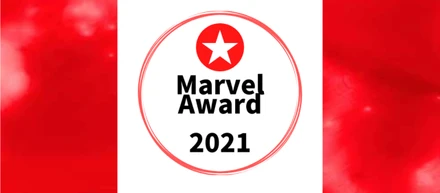 半期報告会＆Marvel Award開催しました！