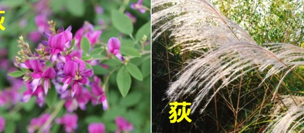 荻萩あるある。紛らわしいと思う漢字を持つわたし。