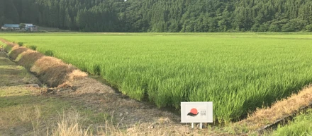 なぜお米が福利厚生！？『食べていくための仕事を、社員の夢や目標を実現するための仕事へ』
