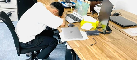 シエスタやってます