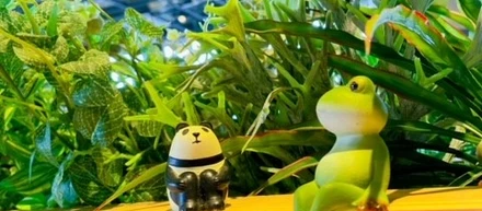 そろそろ晴れてほしいですね🌤