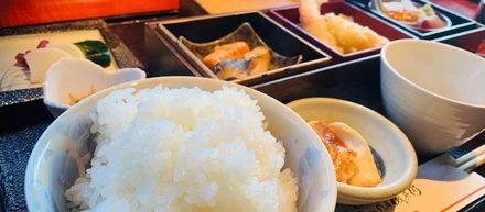ワーケーションブログ　～京都編3～