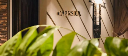 カリスタギャラリー🌟VOl.26　CALISTAの価値観ってどんなこと⁇