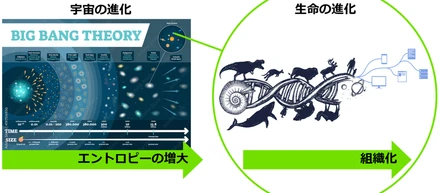 【創業秘話】スタートアップの起業ストーリー