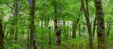 社員研修