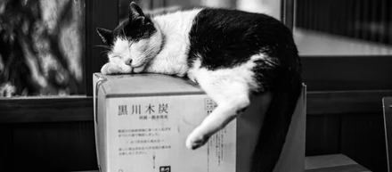 上質な里山｜阿蘇・南小国町の魅力を写真でご紹介ー「秋から冬」編