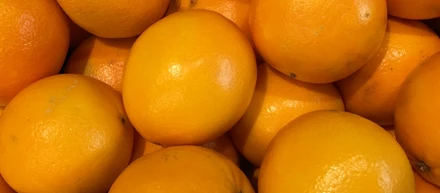 店舗で取り扱う無添加パンの試食会をしました