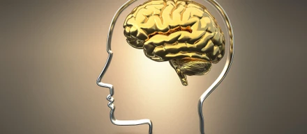 Cognigence Focus | Reviews & Ingredients | 2021