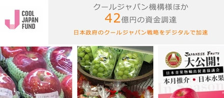 内閣府のクールジャパン輸出戦略×デジタルマーケティング支援のやりがい