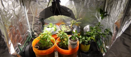 Primal Grower Gear-The Most Efficient Indoor Farming Gear In The Usa