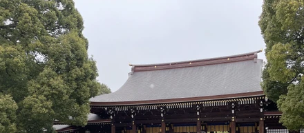 初詣🎍参拝者数例年1位の〇〇へ行きました！🌅
