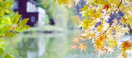 大切にしている価値観・行動指針