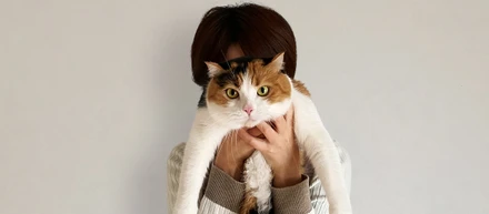 2022年2月22日はスーパー猫の日！