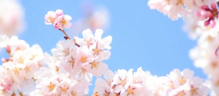 「今日の一言」って…😎
