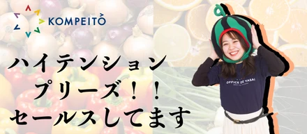 高度10000mから降りてきたセールスがスイカをかぶって働く日々