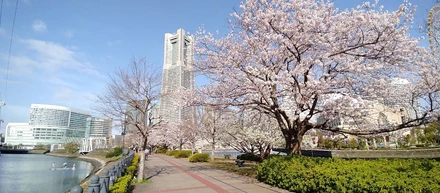 22新卒のみなさま、ご入社おめでとうございます！