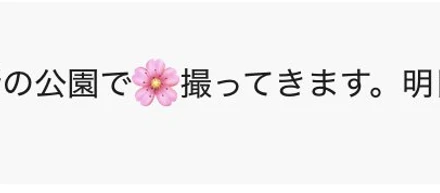 ある春の日に起きた不思議なできごと