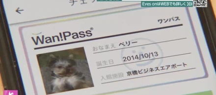 NHK「おはよう日本」でWan!Passの取り組みが放送されました。