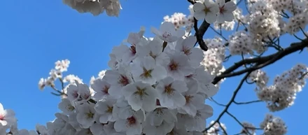 出会いと別れの季節