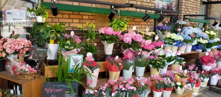 まきたむ。の植物チェック☆