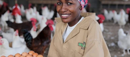 ケーススタディ：Vetcare Africa (Kenya) Ltd.