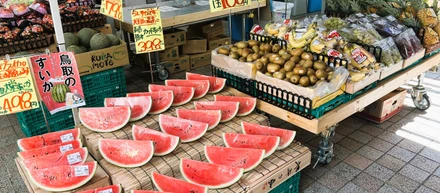 八百鮮★本気の売り場vol.2