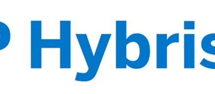 Concept of Accelerators in SAP Hybris.