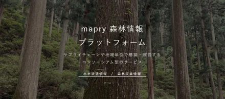 【自社サービス紹介】売り手と買い手を繋ぐ「mapry 森林情報プラットフォーム構築サービス」をリリース