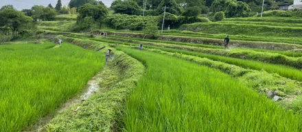 アウトドア部　岡山県美作市上山 キャンプ！