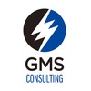 About 株式会社GMSコンサルティング