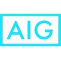 AIG ビジネスパートナーズ　株式会社