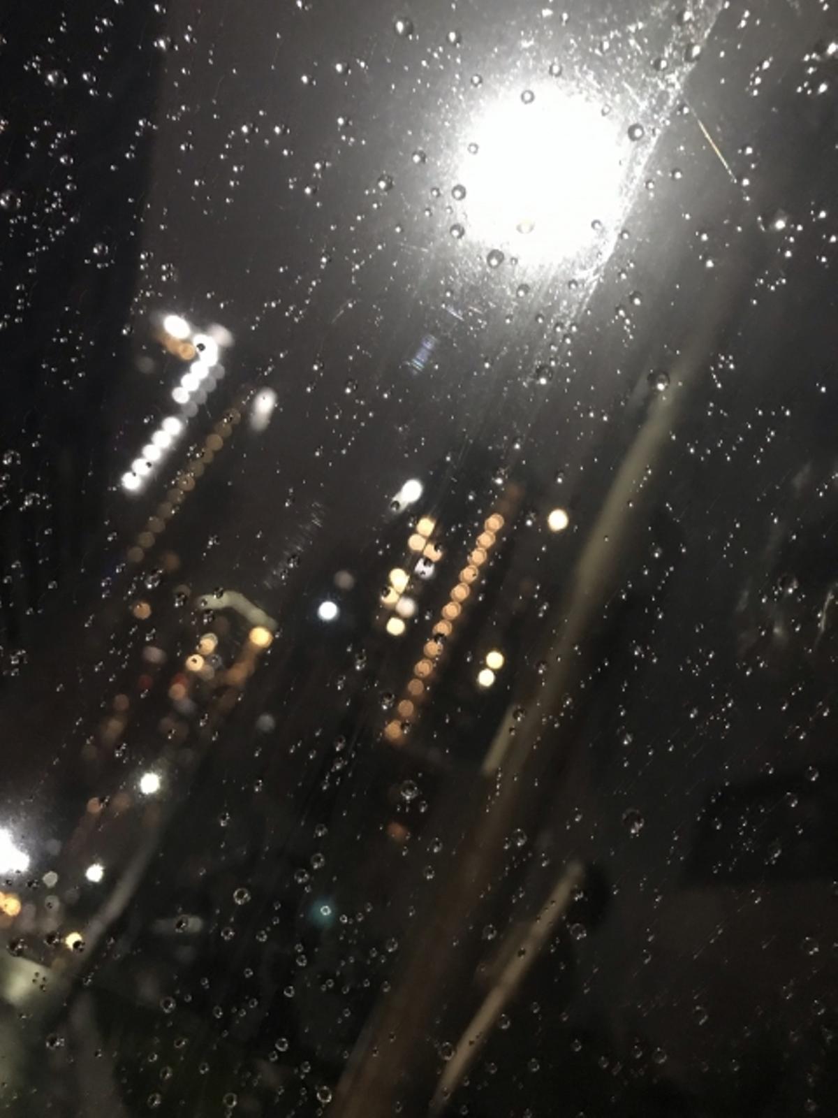 Madman Protocol By Daisuke H