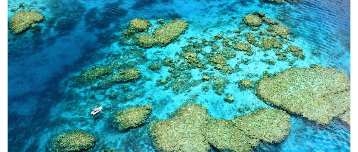 地球環境とサステイナブルをテーマにした新規事業のCxO候補募集！