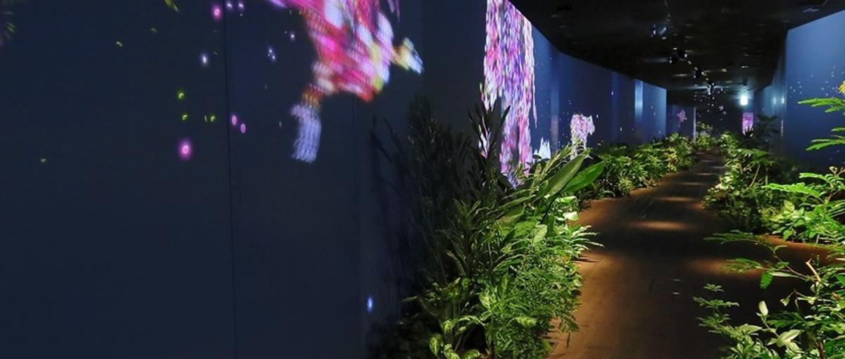 インターネットライブ配信技術を学びながら一緒に業務に臨んで頂ける方募集！