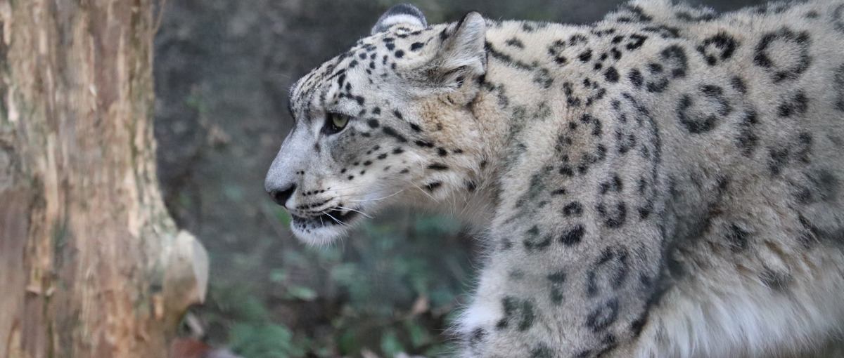 当社は少人数制。何でも自分でこなしたい貴方へ。