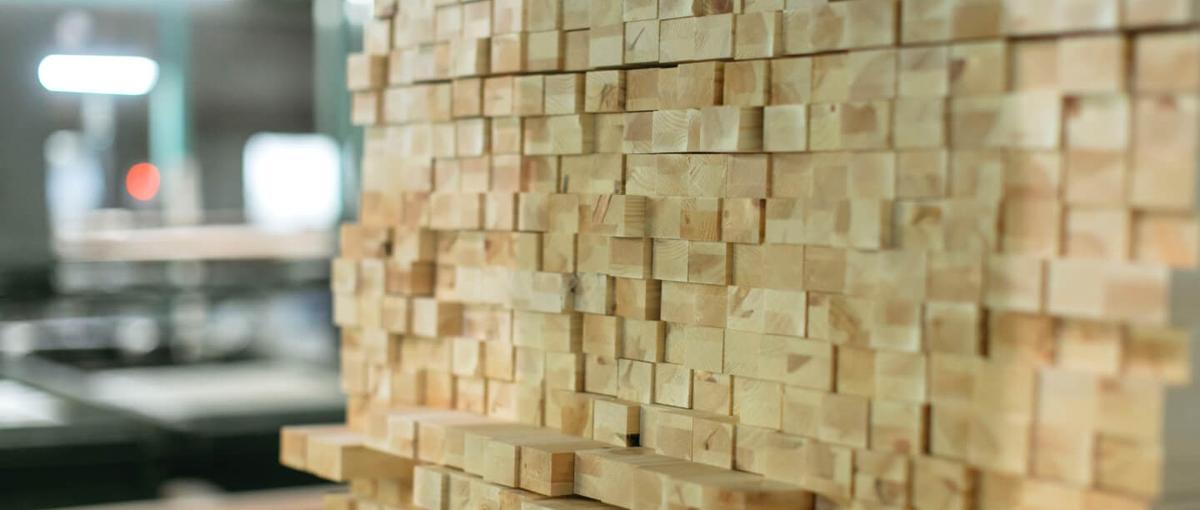 SDGs×木材加工｜自然が好きで木と関わる仕事に興味のある方必見です！