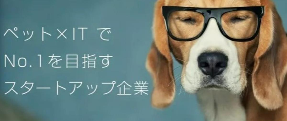 株式会社tylの募集 採用 求人情報 Wantedly