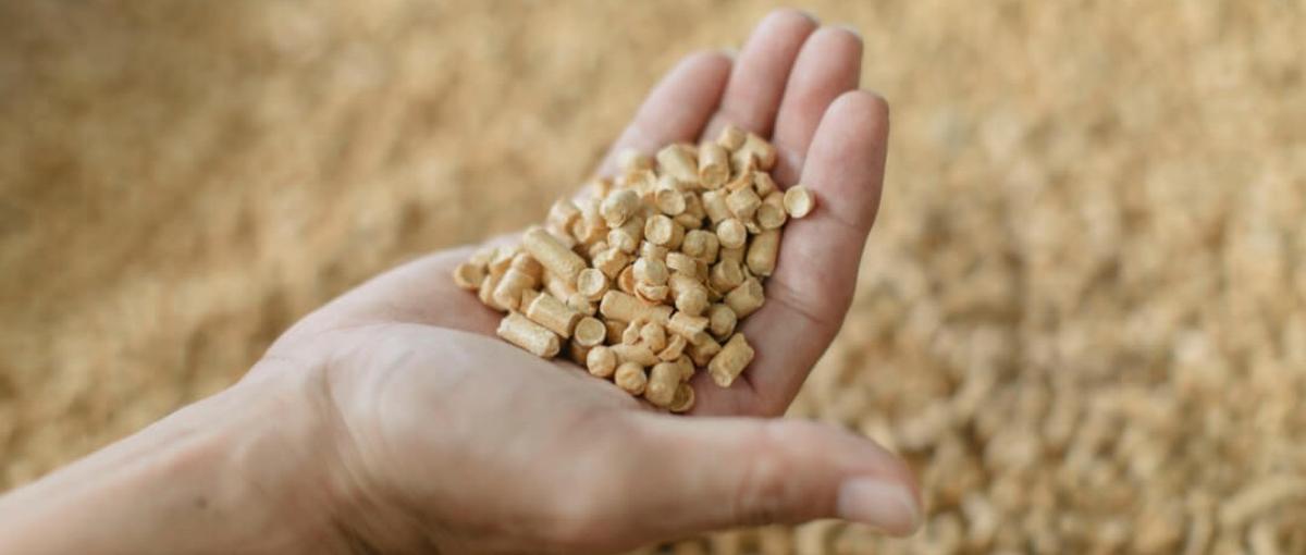 木材加工×もの作り｜自然が大好きでものと向き合う仕事に興味のある方募集中！