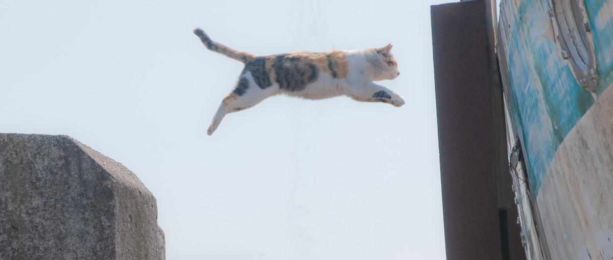 市場を見つけてユーザーに届けるまで！全部やりたい広範囲型マーケ募集中！