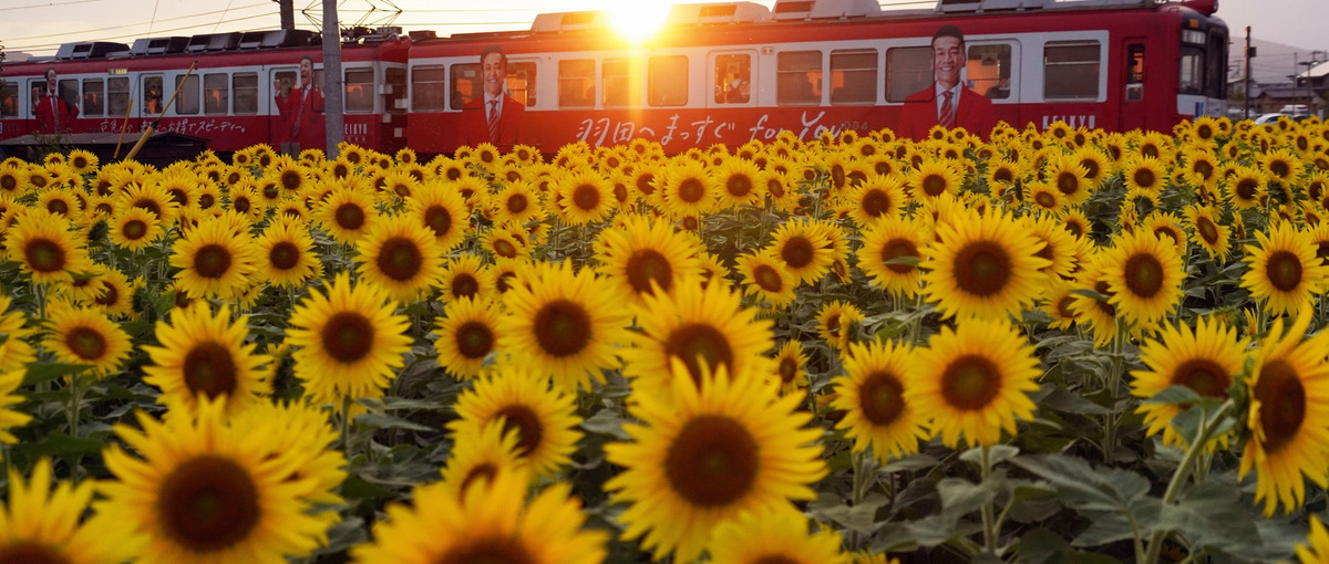 インフルエンサーアフィリエイト事業に知見のあるアドバイザー募集/SideJ