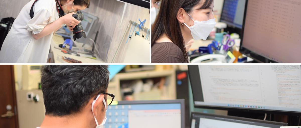 WEBマーケ｜売れるサイトの全てをお見せします！圧倒的に成長できる環境あり